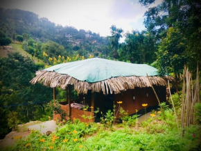 Ella Jungle Rock